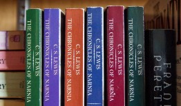 揭秘黑客一年的收入：合法与非法途径的巨大差异，助你了解网络安全行业的真实收益