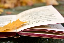 盗别人号教程：法律风险与安全防护全解析，避免账号被盗的严重后果