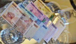 黑客一年收入多少钱？揭秘从初级到顶尖的收入差距与合法赚钱路径