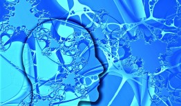 免费接单黑客QQ便宜？警惕这些网络安全陷阱，保护个人信息安全