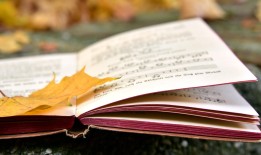 专业帮人打人联系方式背后的法律风险：避免违法暴力，选择合法维权途径