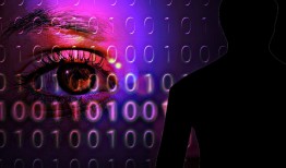 免费接单的黑客：揭秘背后隐藏陷阱与法律风险，教你如何安全防范